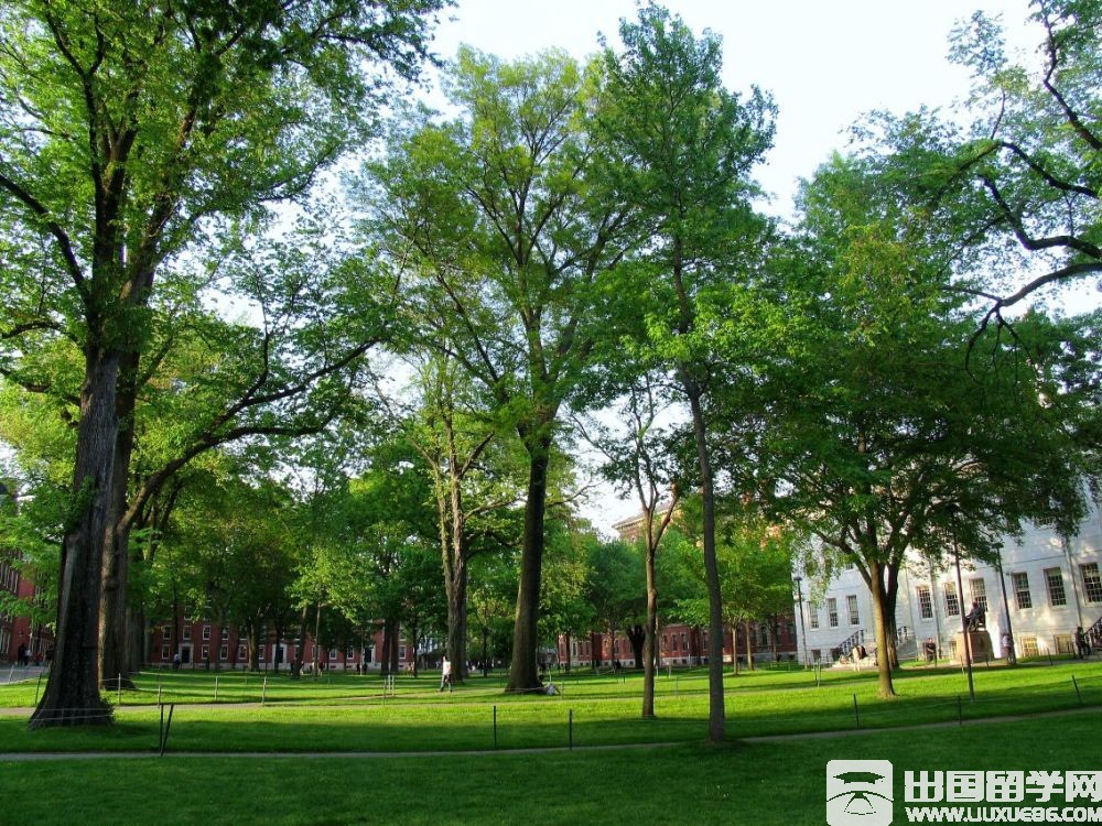 哈佛大学校园风景