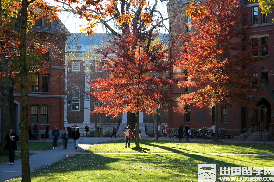 哈佛大学校园风景