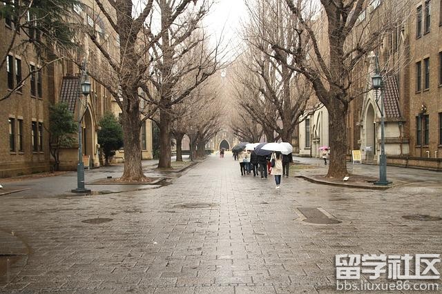 日本留学申请指导